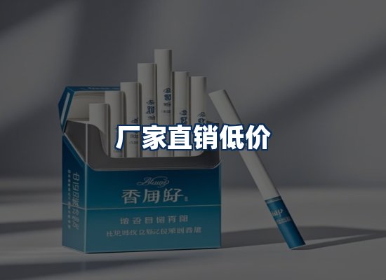 专业团队办公环境